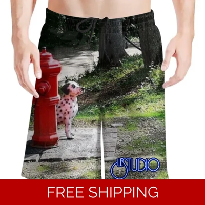 Le Studio Signals Dog Statue Beach Shorts